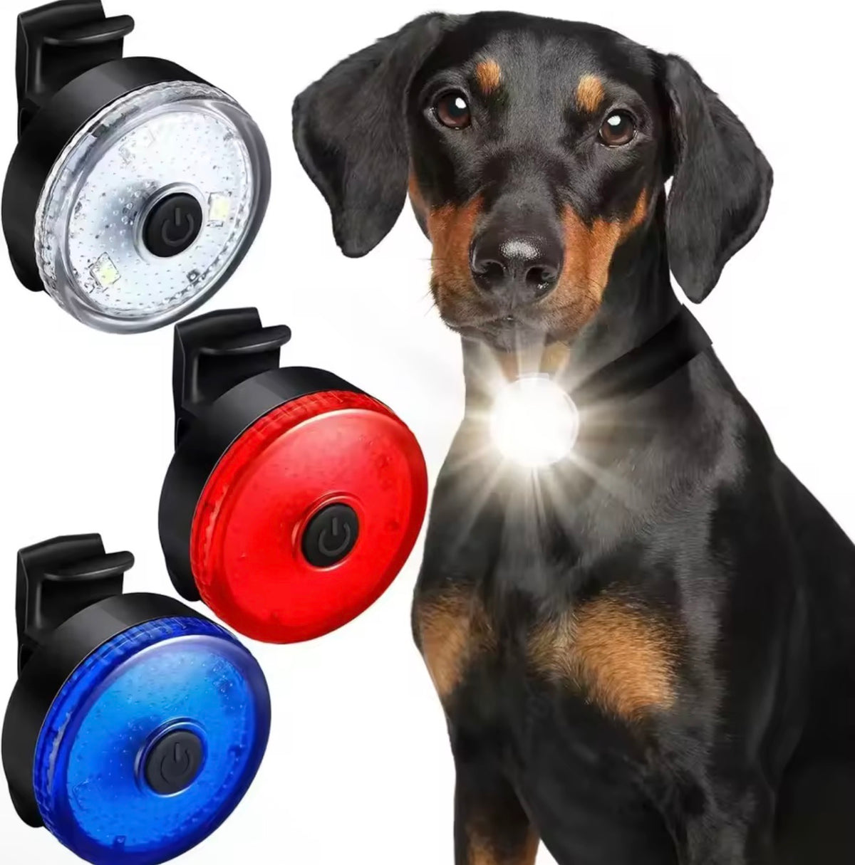 USB Rechargeable LED Dog Collar Safety Light - White