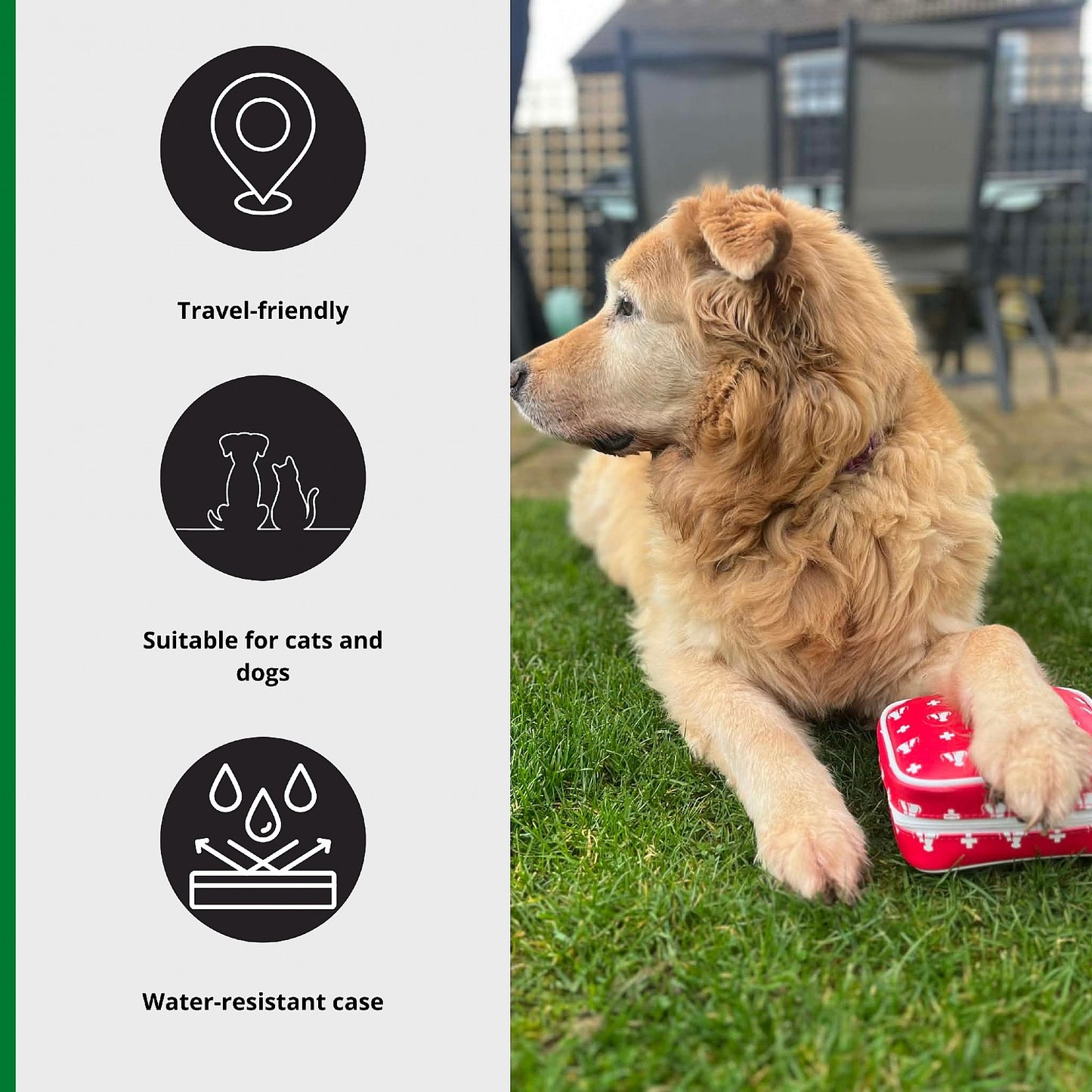 Pet First Aid Kit